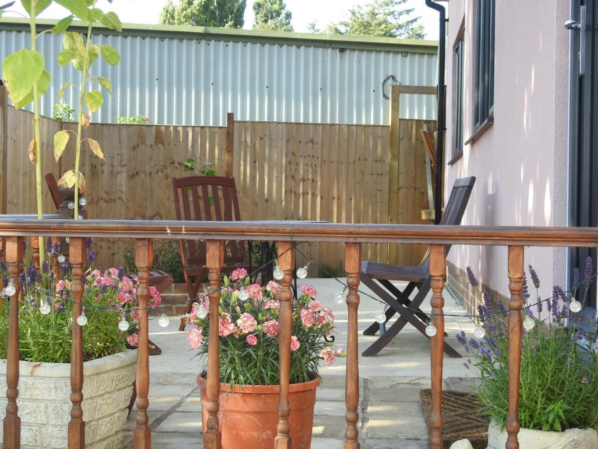 The Shed @ Stares Farm Cottage Shedfield Exteriör bild